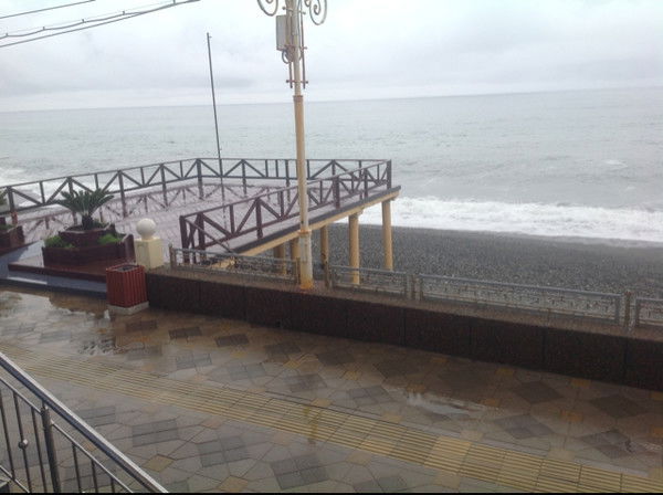 生きる Александрович