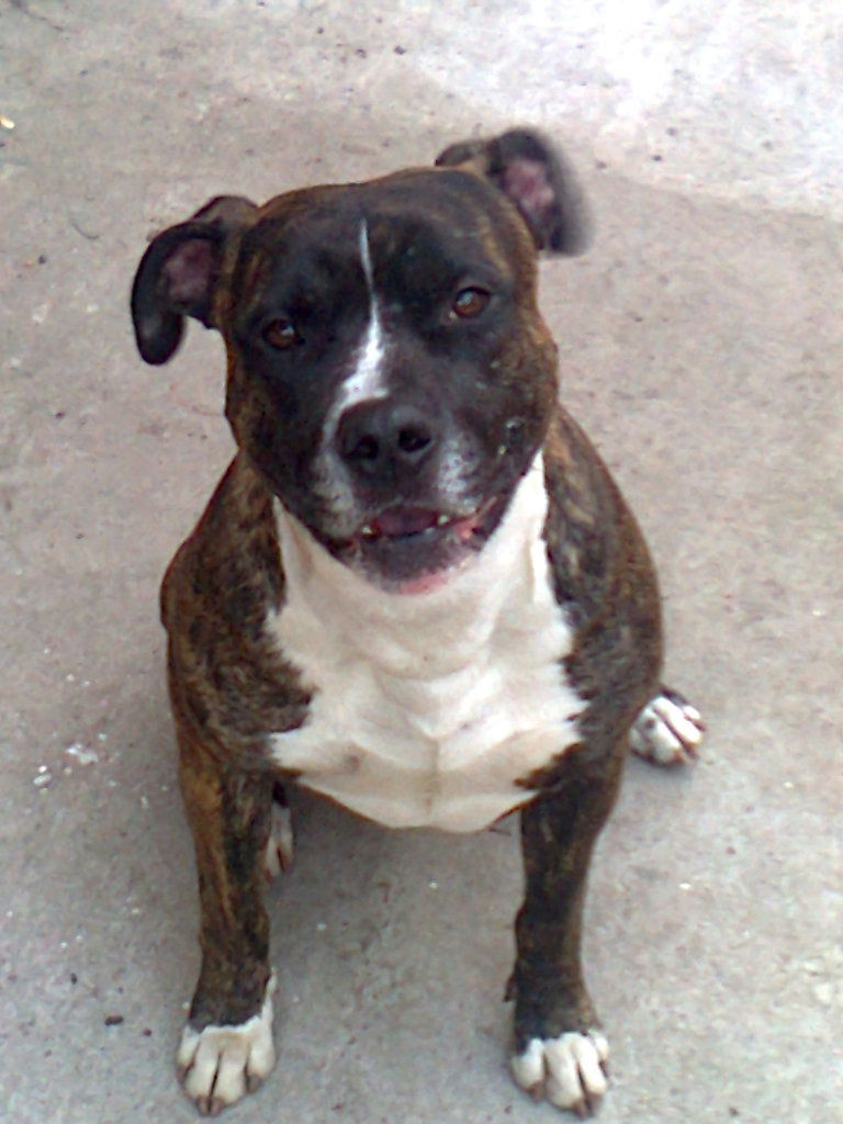 Александр Мартынюк