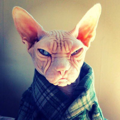 Дмитрий Боровков