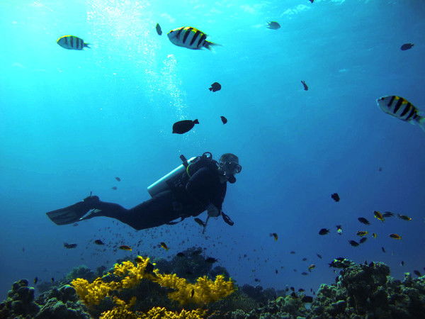 Денис Воробьев