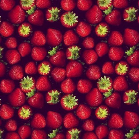 Чечулина Анна