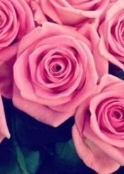 Евгения Захарова