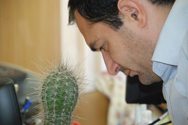 Рамзес Чечня