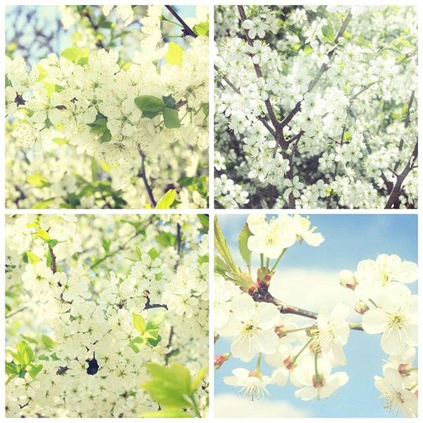 Канева Елена