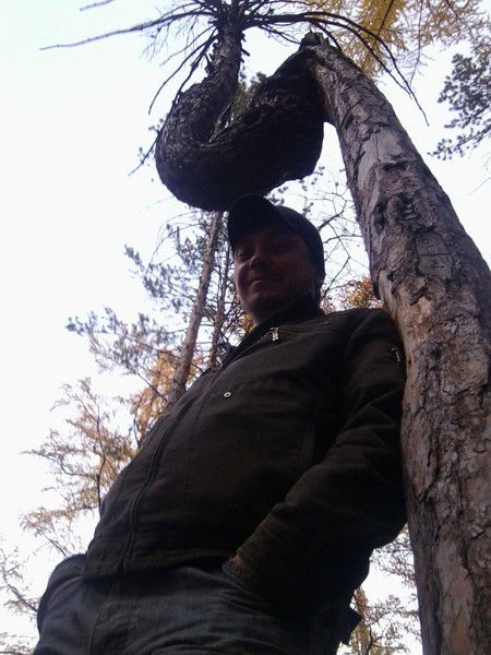 Дмитрий Комогорцев