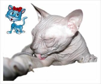 Людмила Алиева