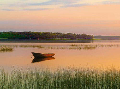 Офис Приемная