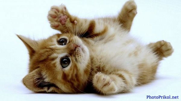 *****все Будет Хорошо!!!!***** Все Будет