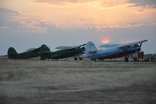 Мария Александровна