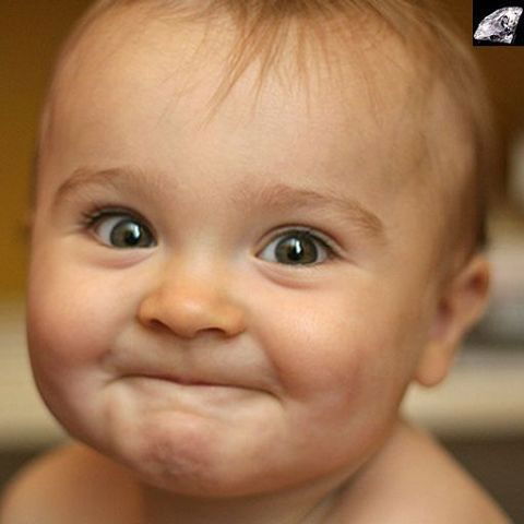 Александр Томашенко