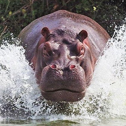 Игорь Демченко