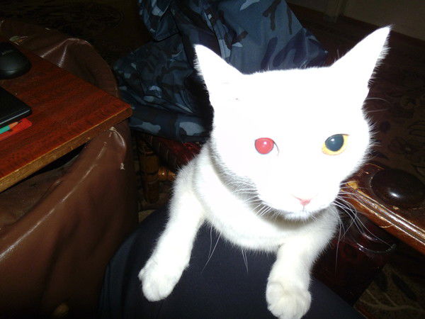 Каныбек Адырбаев