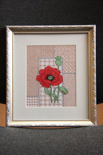 Марина Беликова