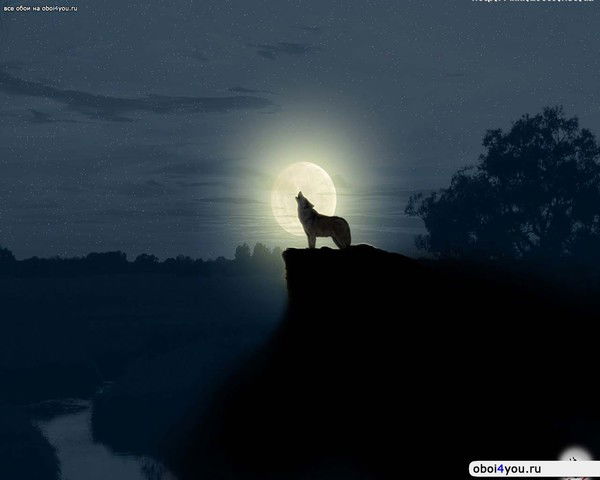 Андрей Войтюк