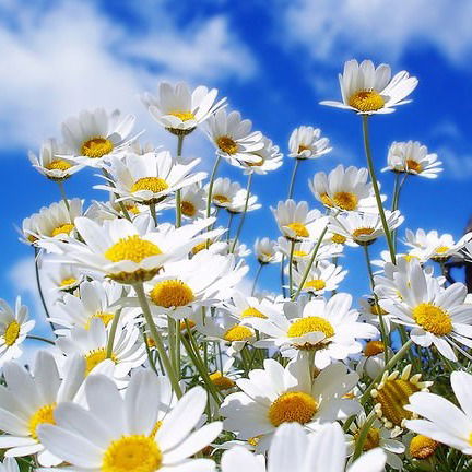 Дарья Прохорова