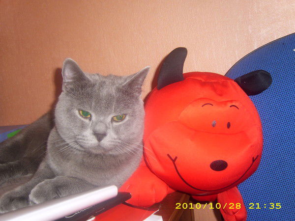 Сергей Чернявский