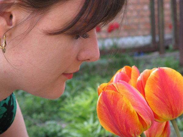 Елена Шишкина