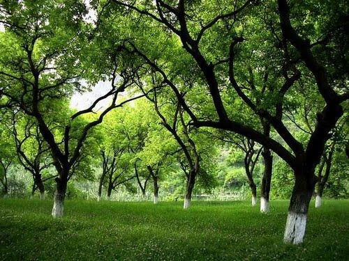 Iskandar Eshonkhonov