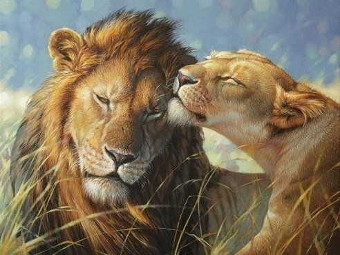 Соня Суворова