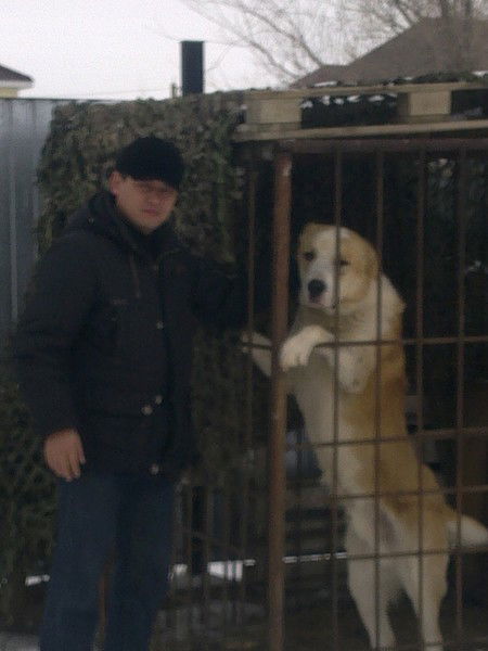 Дархан Мырзабеков