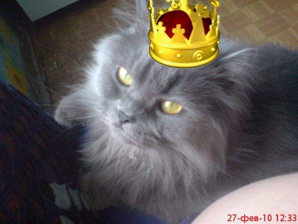 Эльвира Рыженина