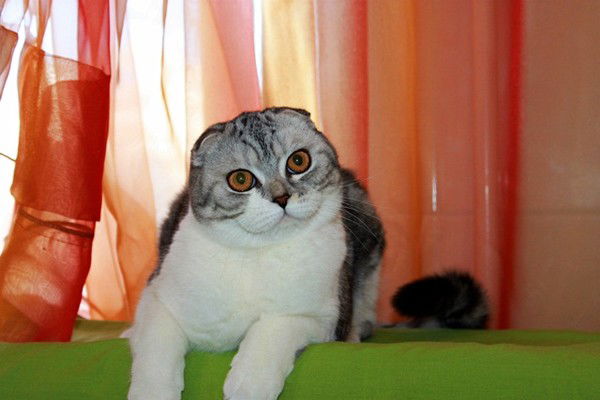 Мария Логвиненко