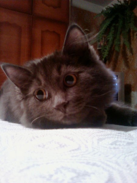 Евгений Жадько