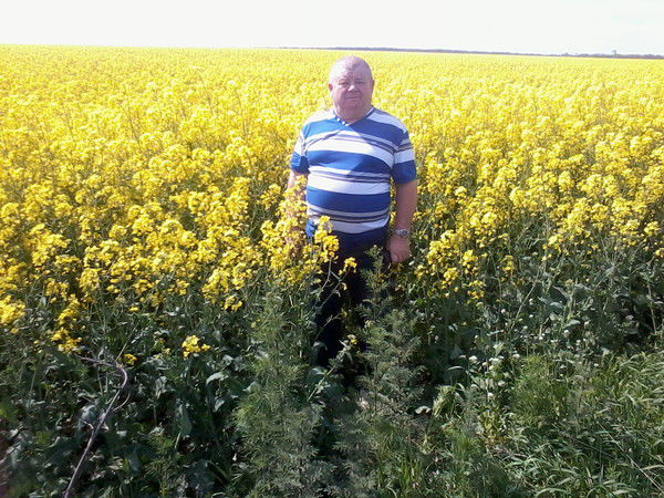 Александр Колос