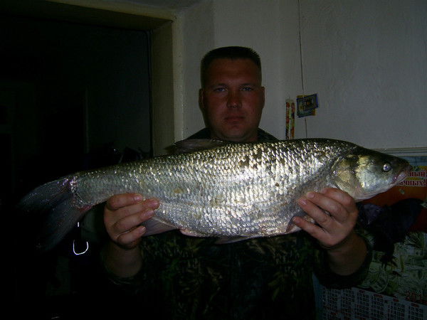 Влад Гноевой