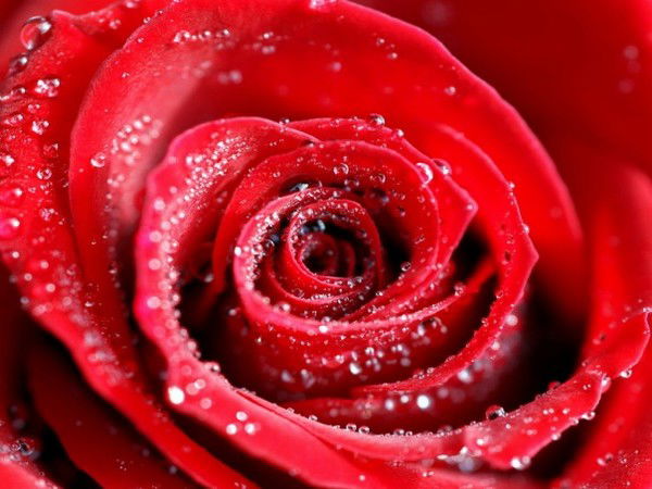 Гульшара Ниетова