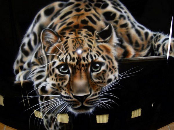 _________ [[[[[________