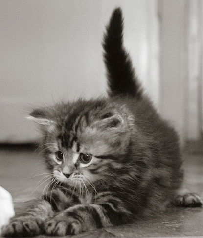 Анастасия Xddd=)