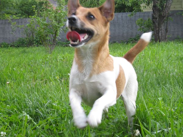 Наталья Strelka