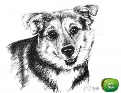 Елизавета Коротких