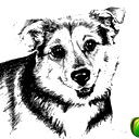 Елизавета Коротких
