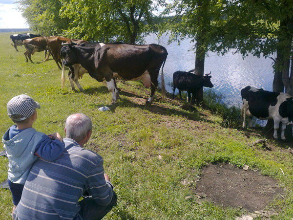 Игорь Гуляев