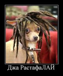 Ольга Баранова