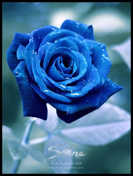 Наталья Булычева