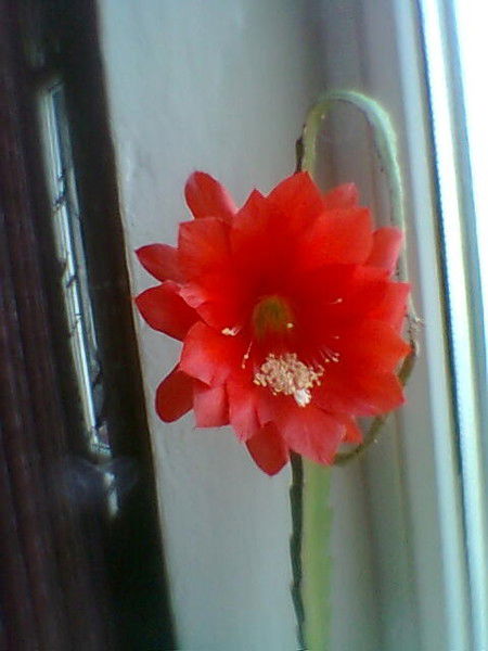 Татьяна Сучкова