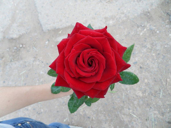 Ляйсан Хайруллина