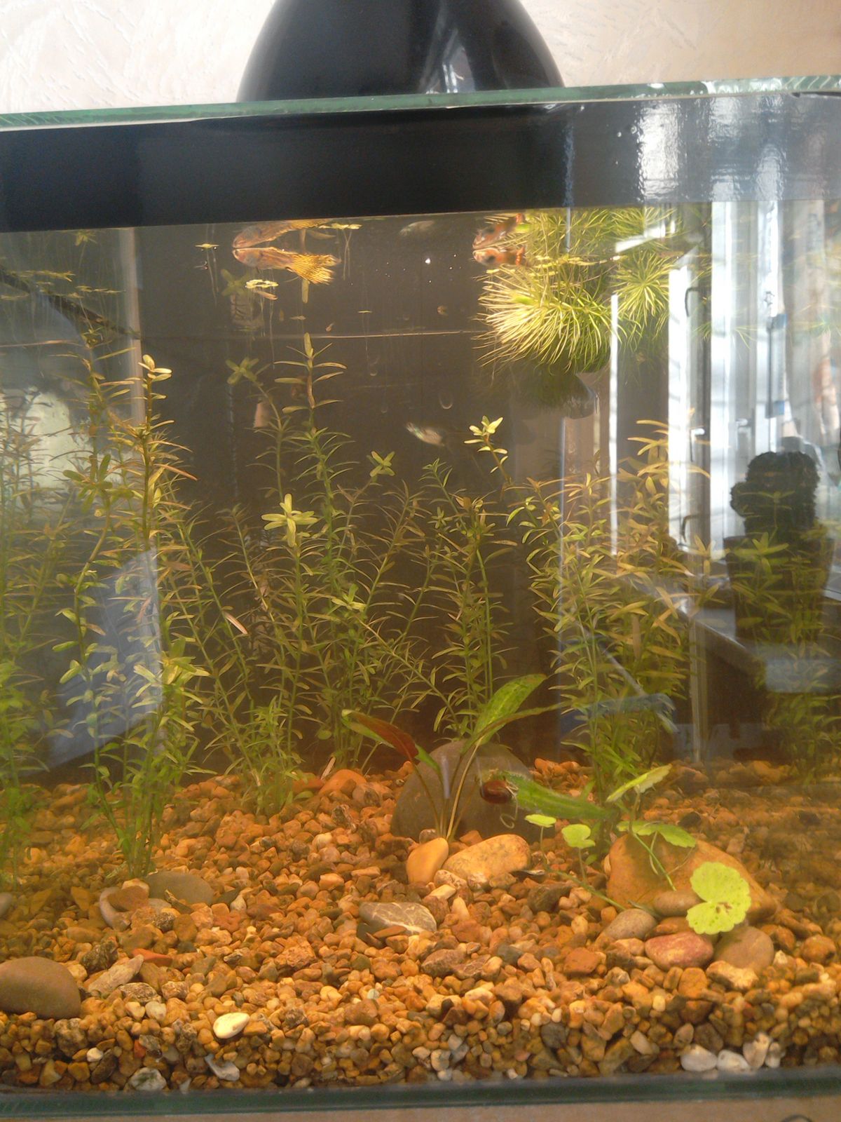 Андрей Коваленко