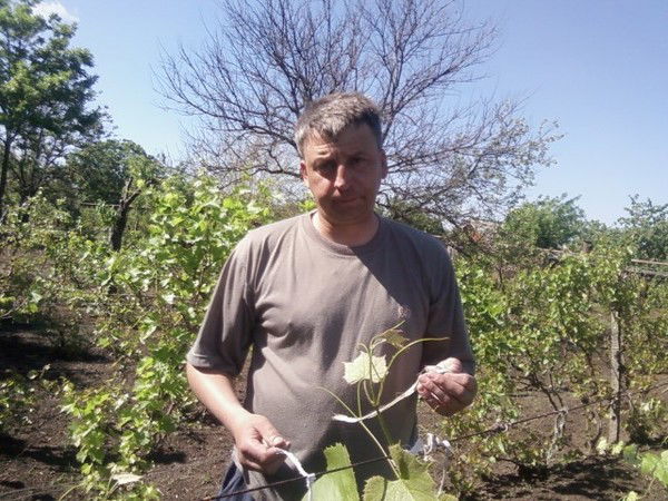 Александр Гурдуз