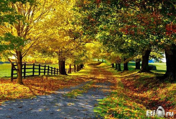 Светочка Сальникова