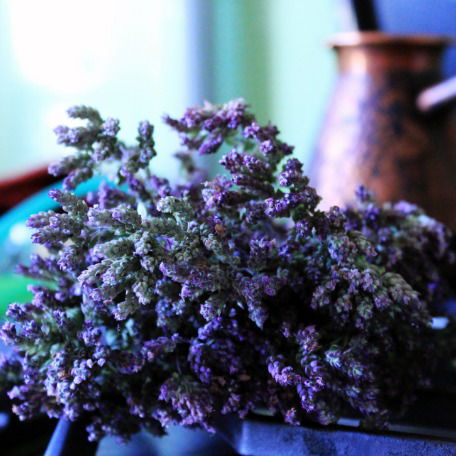 Яна Костина