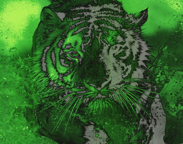 Анатолий Шилин