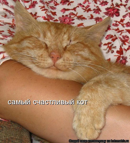 Лидия Николаева