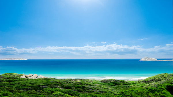 Арман Ибраев