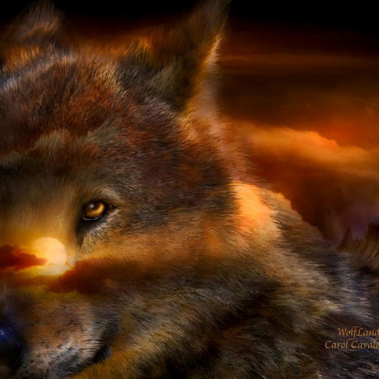 Ольга Краснова