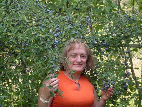 Елена Варакина