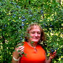 Елена Варакина